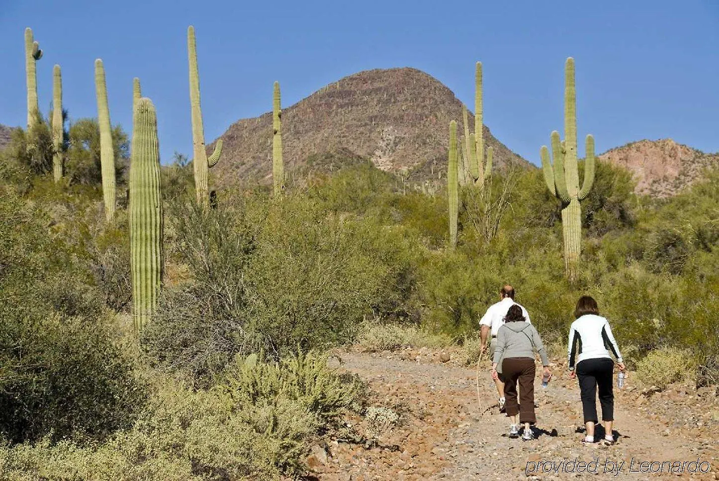 *** Hotel Hampton Inn & Suites Phoenix/Scottsdale United States